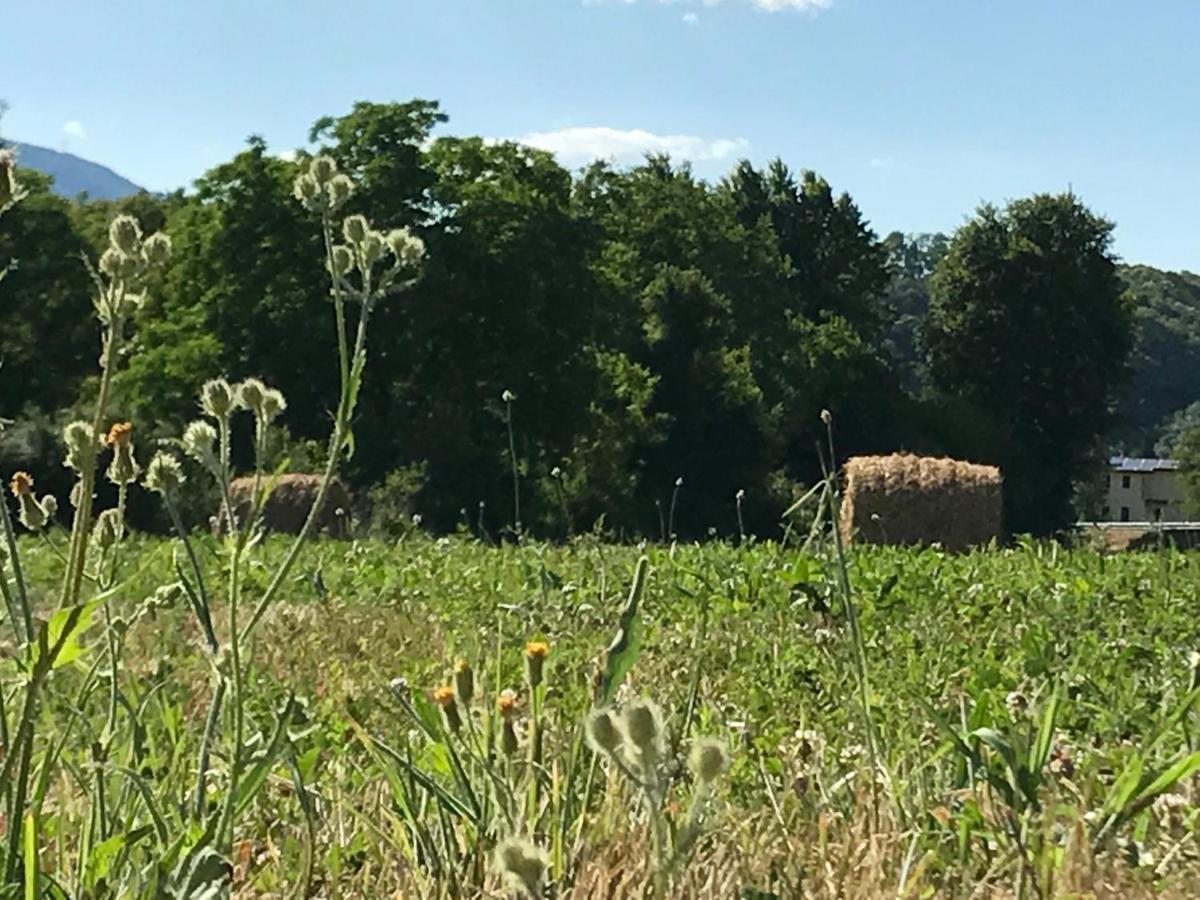 Il Pianetto Farm stay Pieve Fosciana